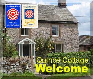 Quince Cottage photo